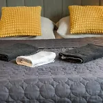Apartamento Rezidence Mahenova 1 *