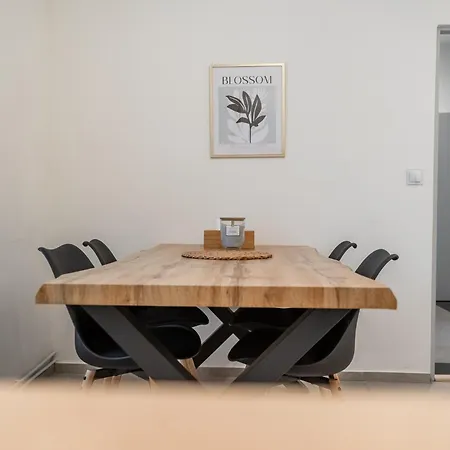 公寓 Rezidence Mahenova 1 *